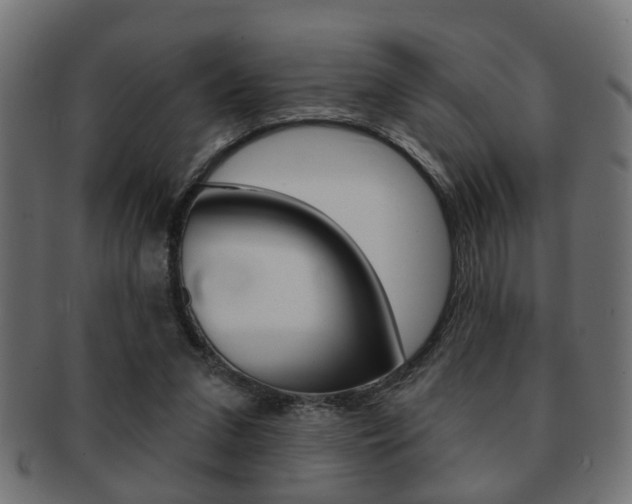 X0000091990207200709061227