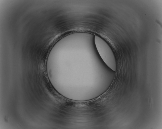 X0000091990208200709061227
