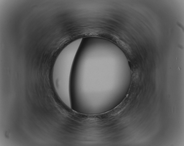 X0000091990209200709061227
