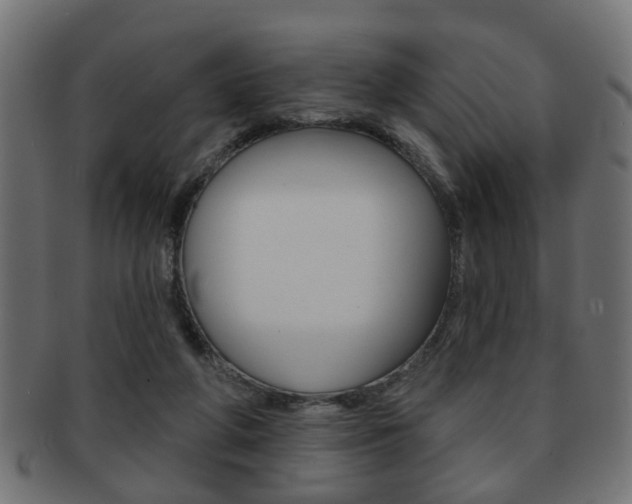 X0000091990210200709061227