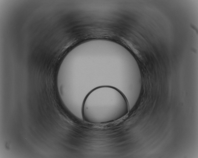 X0000091990211200709061227