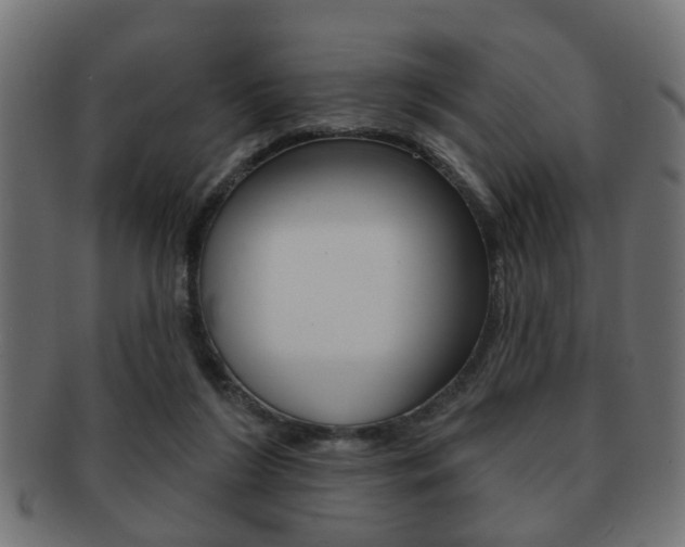X0000091990212200709061227