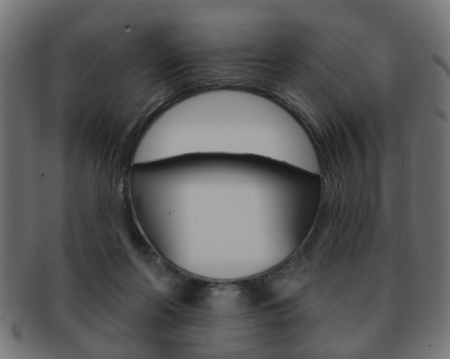 X0000091990214200709061227