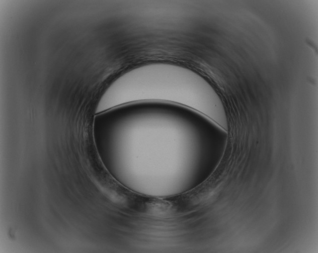 X0000091990215200709061227