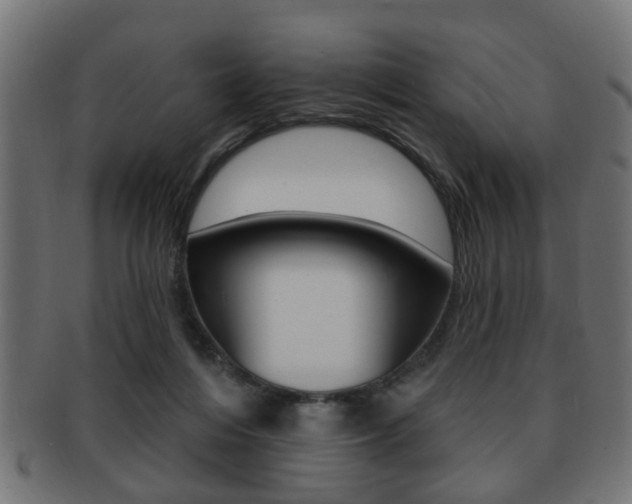 X0000091990216200709061227