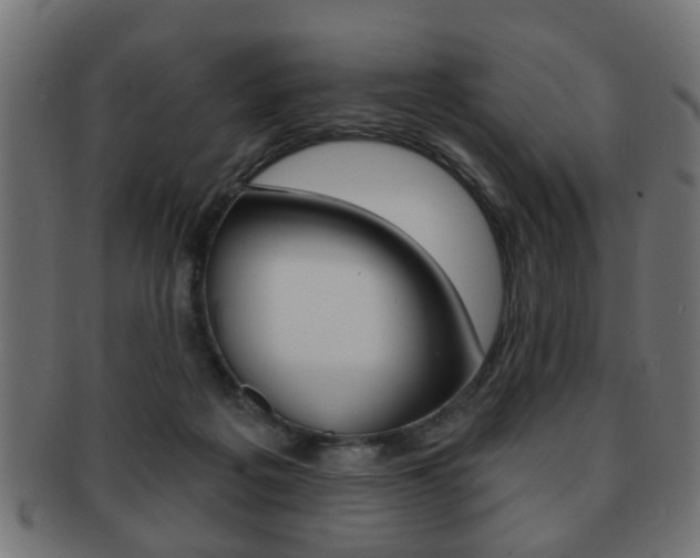 X0000091990217200709061227
