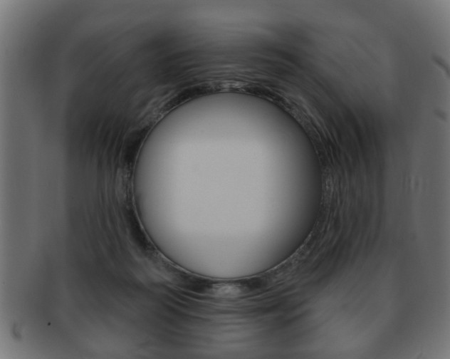 X0000091990218200709061227