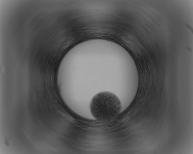 X0000091990219200709061227