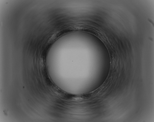 X0000091990220200709061227