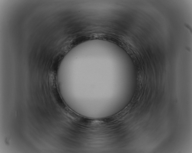 X0000091990222200709061227