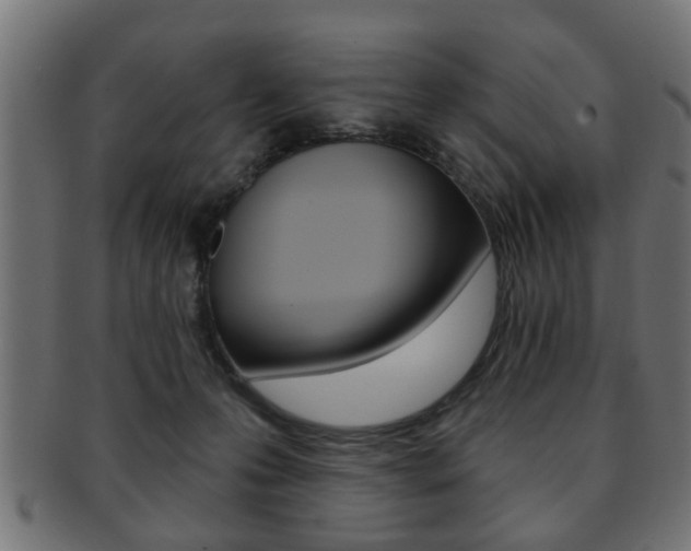 X0000091990223200709061227