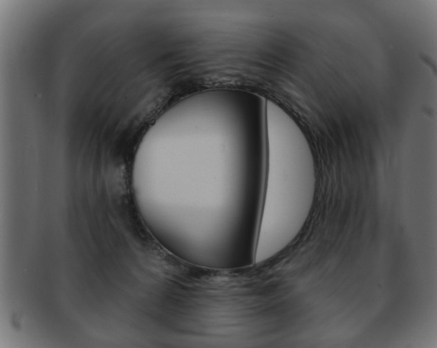 X0000091990224200709061227