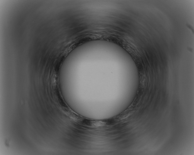 X0000091990226200709061227