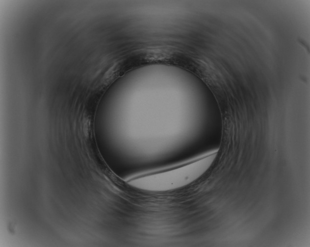 X0000091990227200709061227