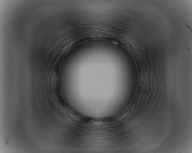X0000091990228200709061227
