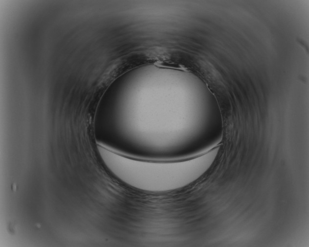 X0000091990229200709061227