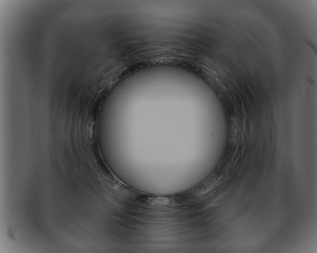 X0000091990230200709061227