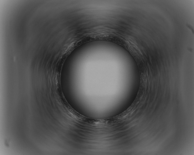 X0000091990232200709061227