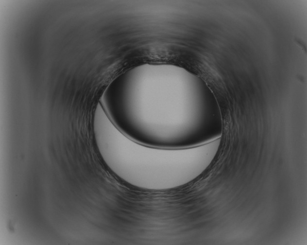 X0000091990233200709061227