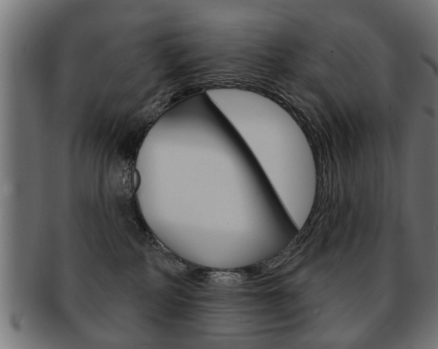 X0000091990234200709061227