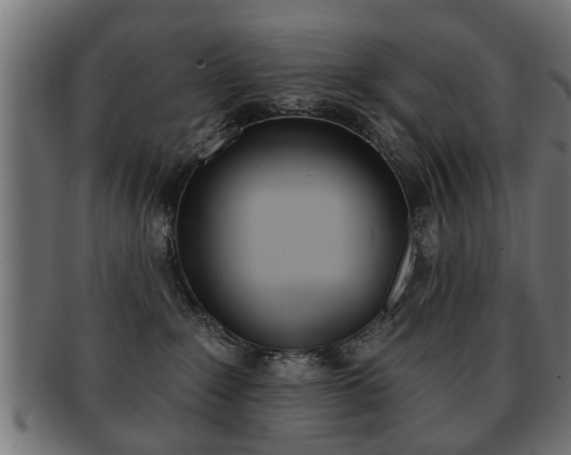 X0000091990235200709061227