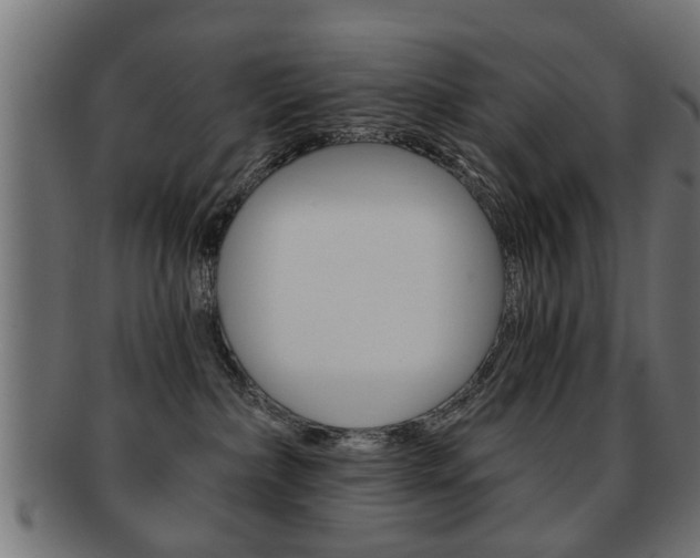 X0000091990236200709061227