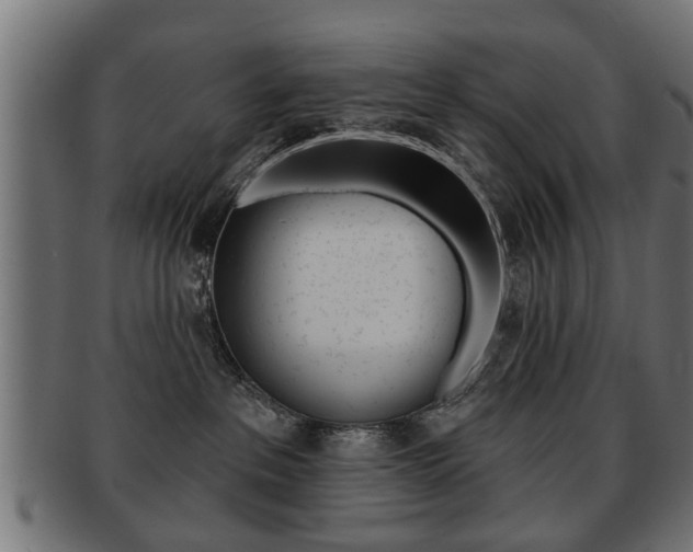X0000091990237200709061227