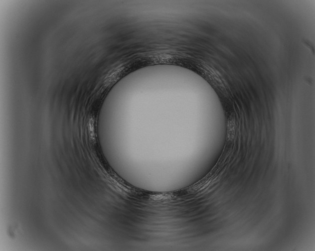 X0000091990238200709061227