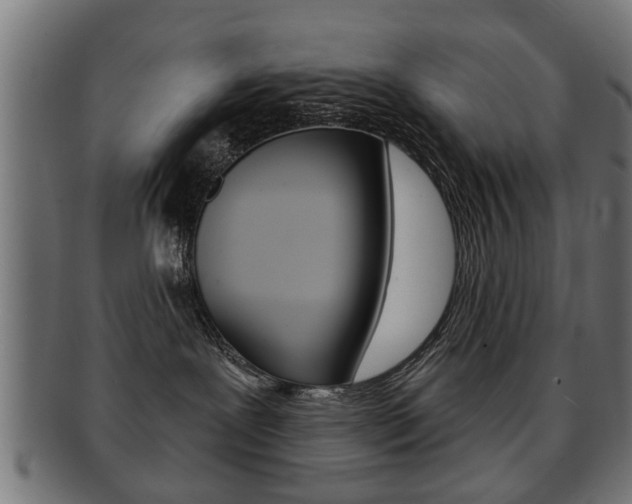 X0000091990239200709061227