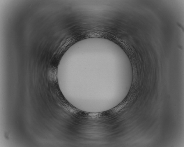 X0000091990240200709061227