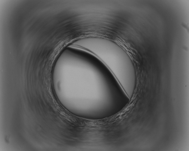 X0000091990241200709061226