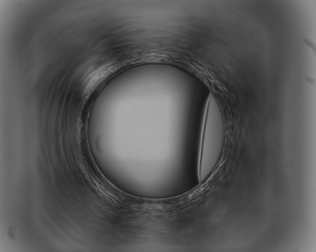 X0000091990242200709061226