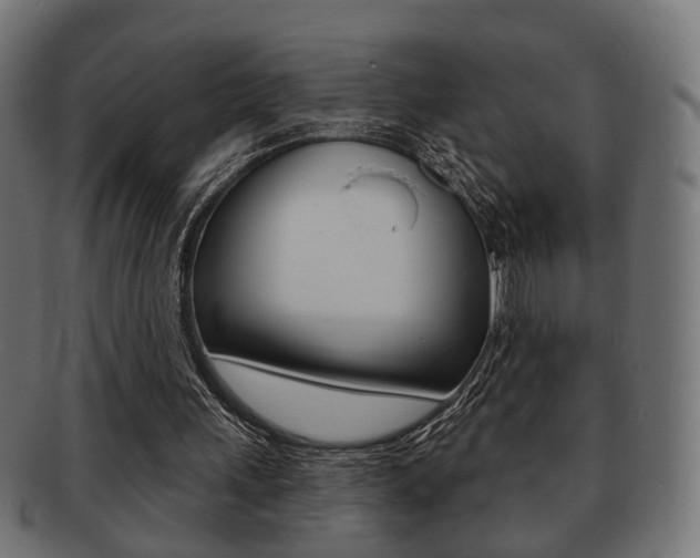 X0000091990243200709061226