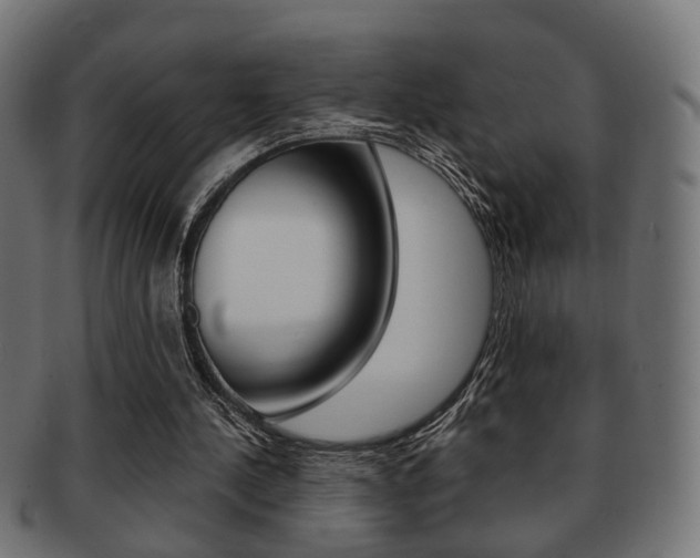 X0000091990244200709061226