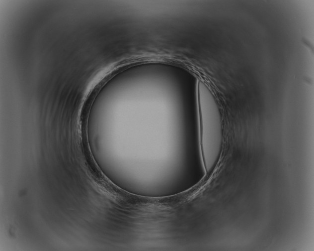X0000091990246200709061226
