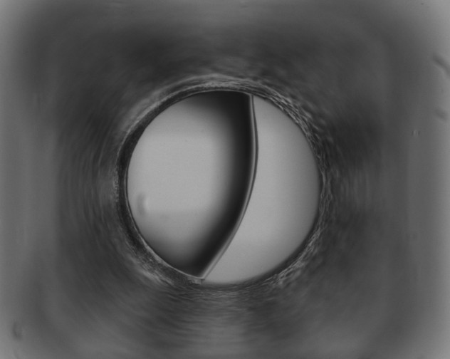 X0000091990247200709061226