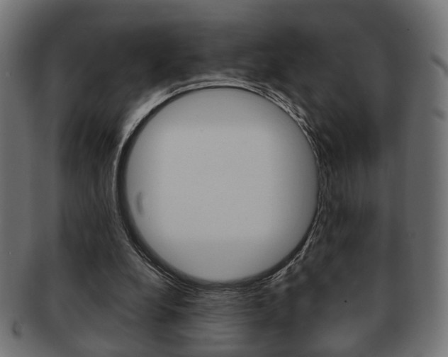 X0000091990248200709061226