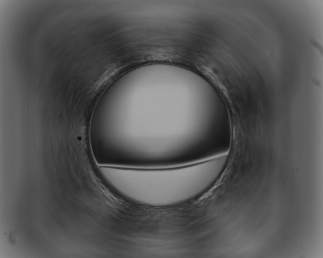 X0000091990249200709061226