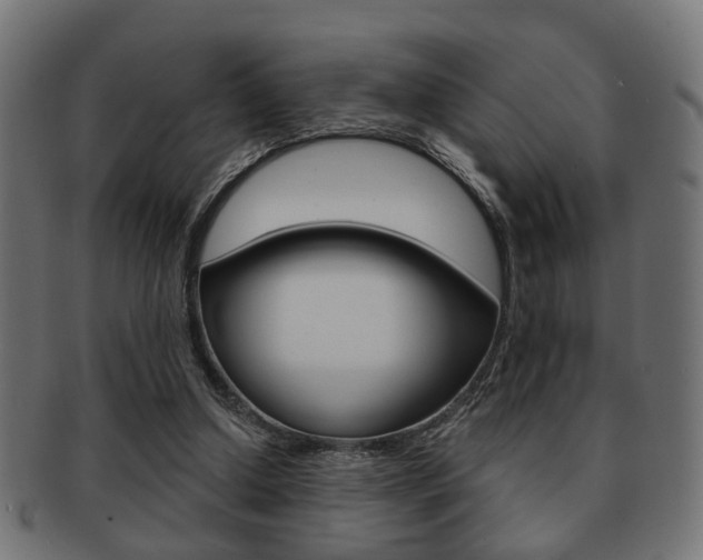 X0000091990250200709061226