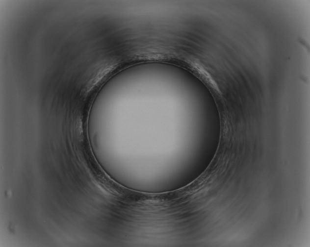 X0000091990251200709061226