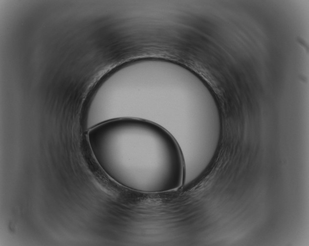 X0000091990252200709061226