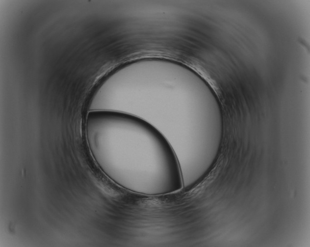 X0000091990253200709061226