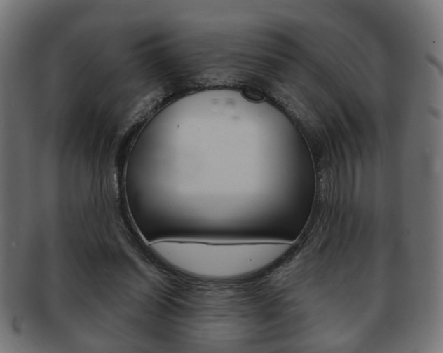 X0000091990254200709061226