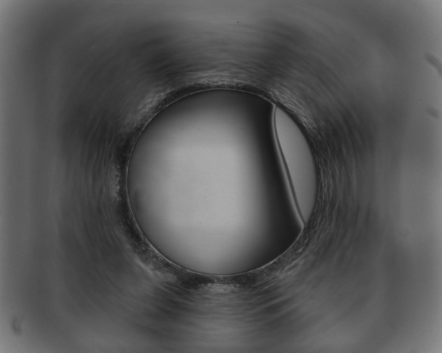 X0000091990255200709061226