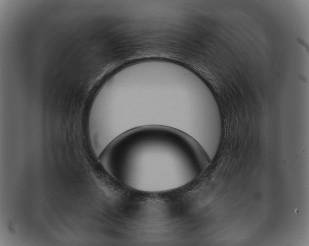 X0000091990256200709061226