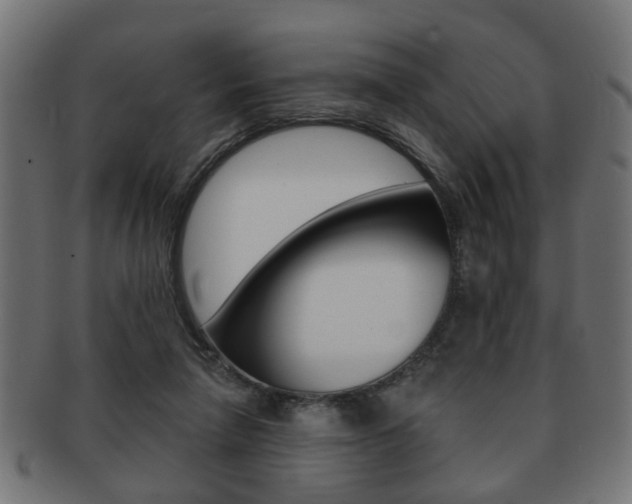 X0000091990258200709061226