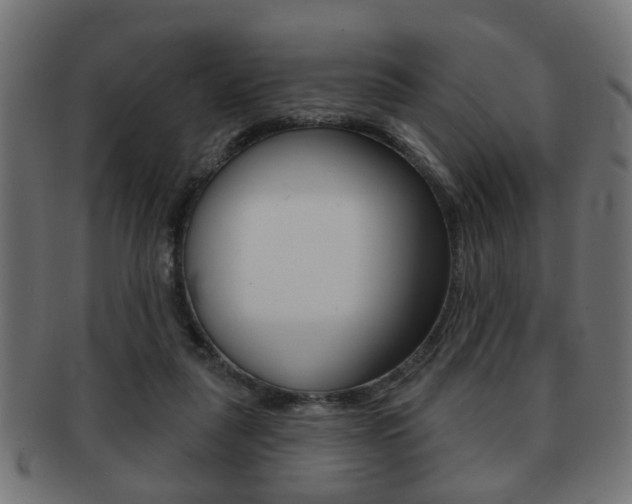 X0000091990259200709061226