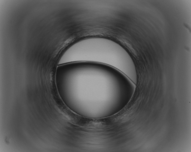 X0000091990260200709061226