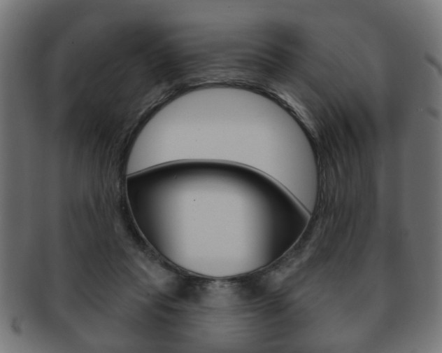 X0000091990261200709061226