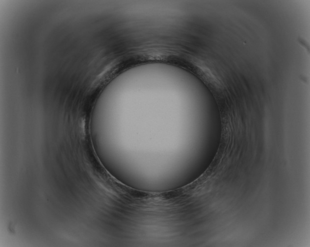 X0000091990262200709061226